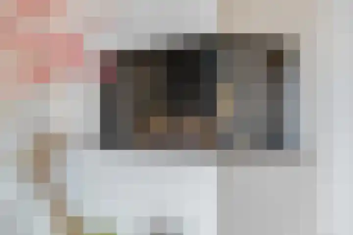 Brugbeemd 8 Waalre thumbnail 7