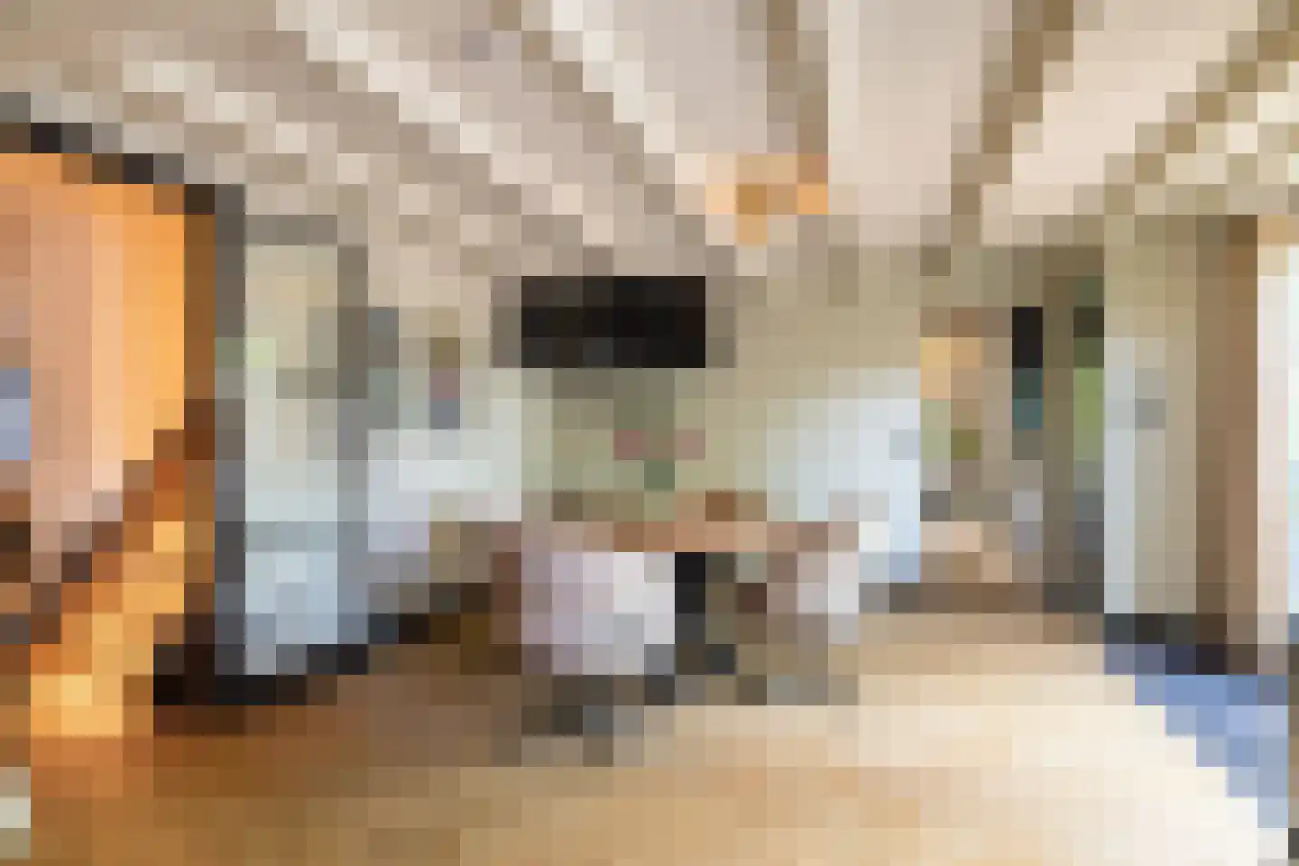Brugdam 13 a Almkerk thumbnail 13