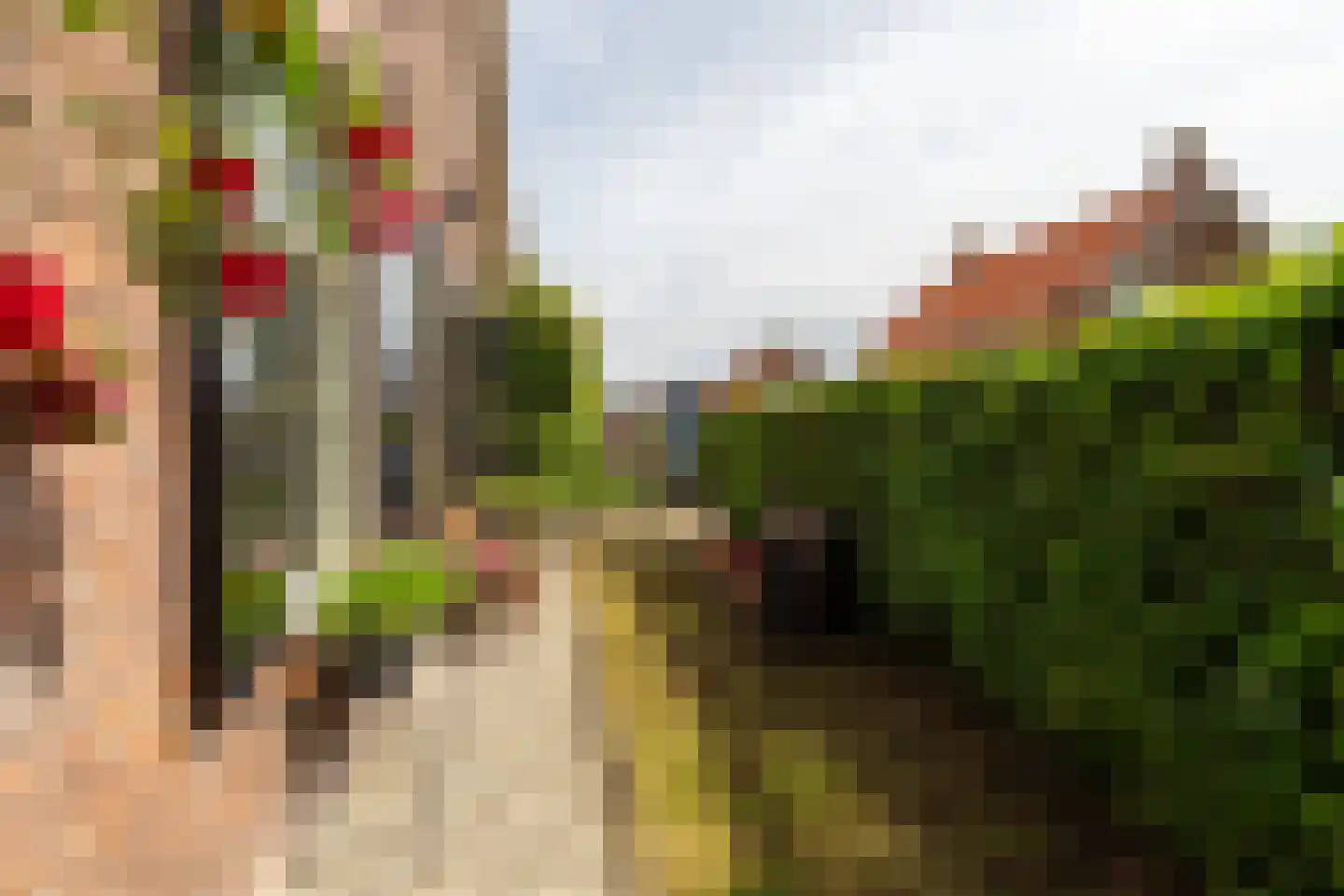 Brugdam 13 a Almkerk thumbnail 37