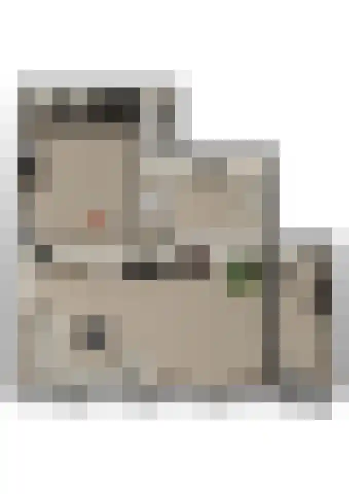 Brugdam 13 a Almkerk thumbnail 44