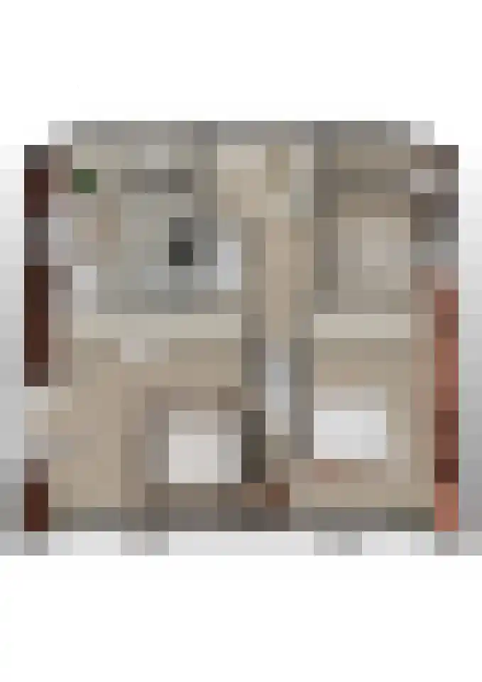 Brugdam 13 a Almkerk thumbnail 46