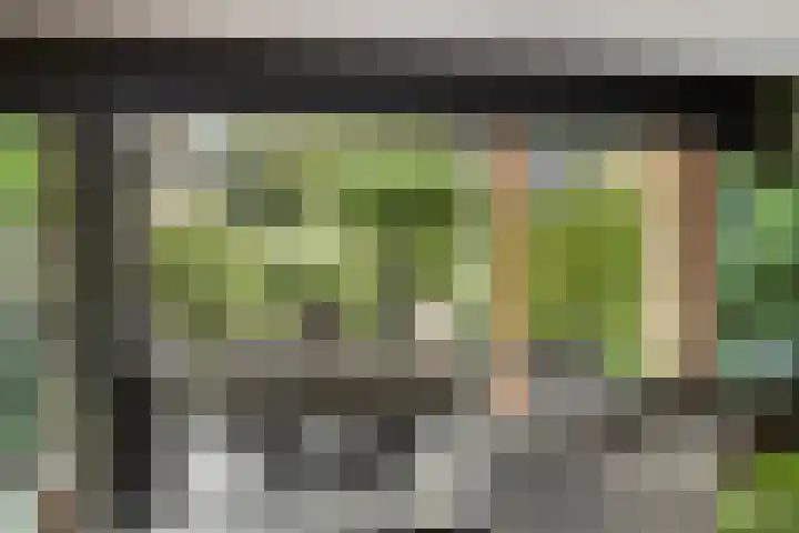 Brugdam 13 Almkerk thumbnail 14