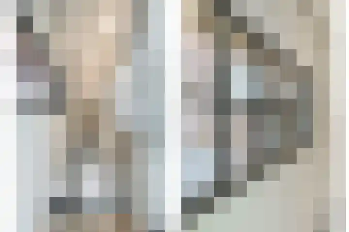 Brugdam 13 Almkerk thumbnail 17