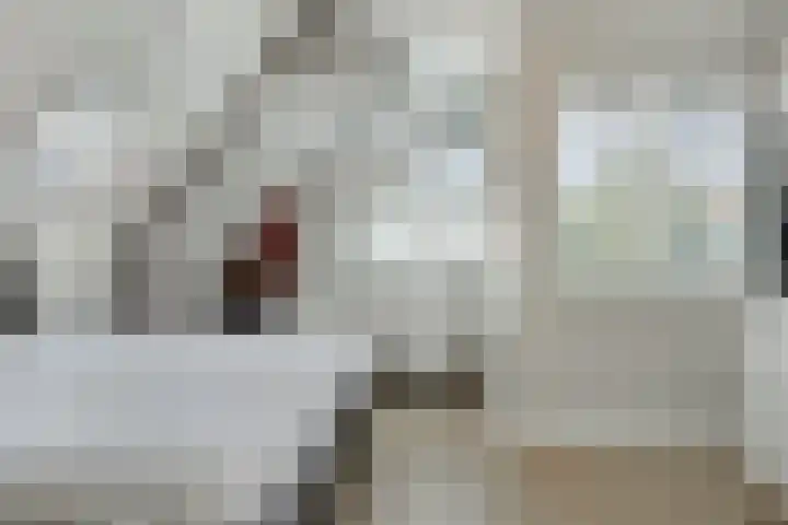 Brugdam 13 Almkerk thumbnail 19