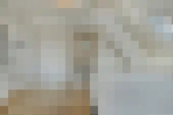 Brugdam 13 Almkerk thumbnail 20