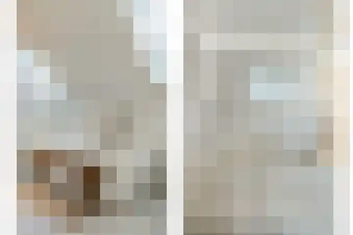 Brugdam 13 Almkerk thumbnail 22