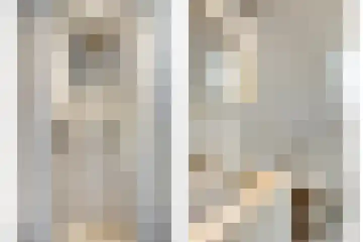 Brugdam 13 Almkerk thumbnail 23