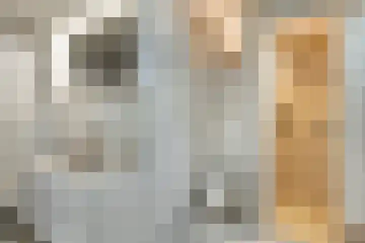 Brugdam 13 Almkerk thumbnail 24