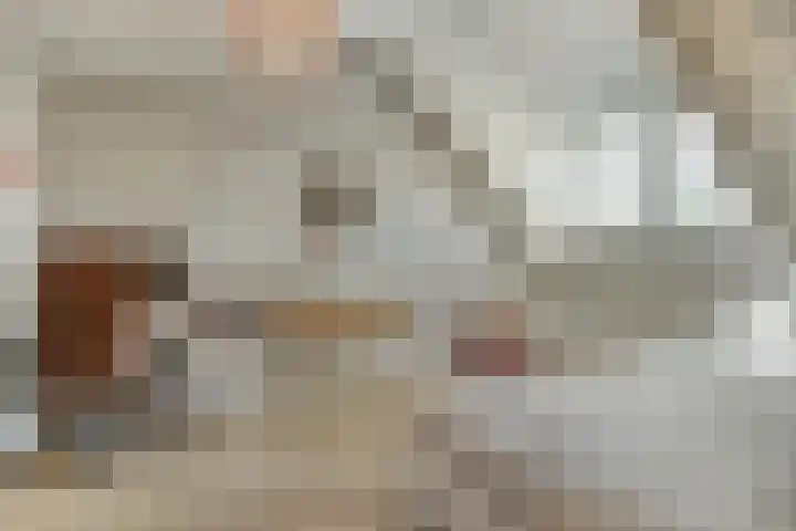 Brugdam 13 Almkerk thumbnail 29