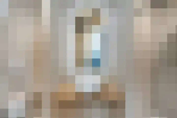 Brugdam 13 Almkerk thumbnail 33