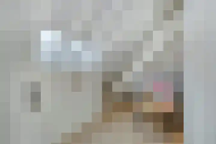 Brugdam 13 Almkerk thumbnail 38