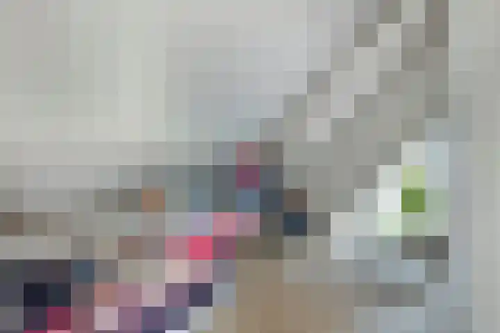 Brugdam 13 Almkerk thumbnail 41