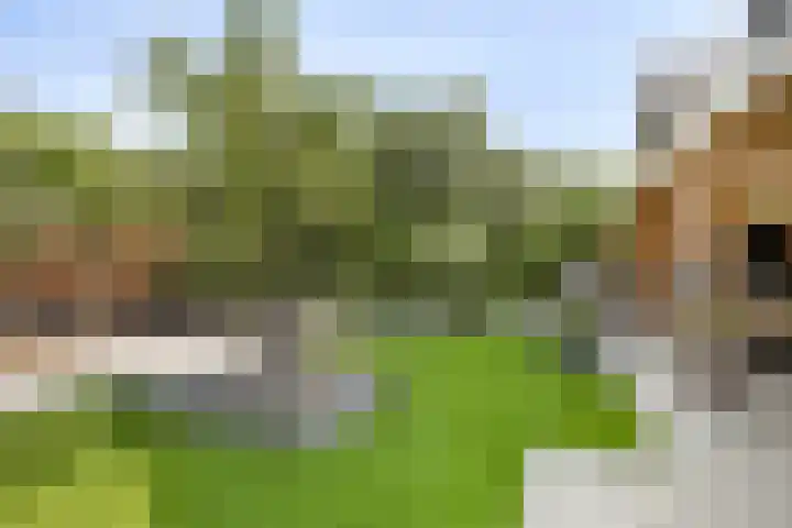 Brugdam 13 Almkerk thumbnail 47