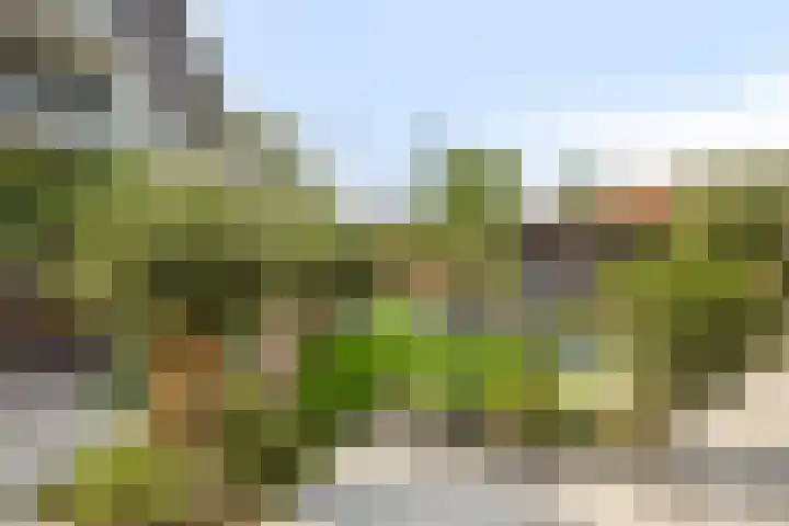 Brugdam 13 Almkerk thumbnail 48