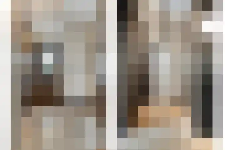Brugdam 13 Almkerk thumbnail 5