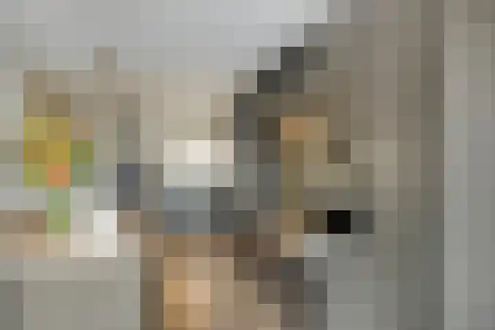 Brugdam 13 Almkerk thumbnail 9