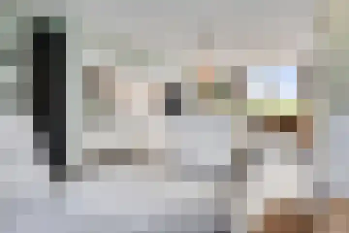 Brugdam 15 Lage Zwaluwe thumbnail 11
