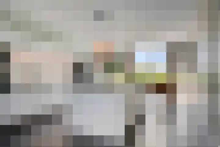 Brugdam 15 Lage Zwaluwe thumbnail 12