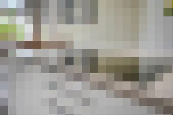 Brugdam 15 Lage Zwaluwe thumbnail 18