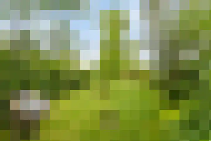 Brugdam 15 Lage Zwaluwe foto 2