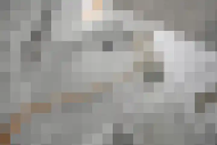 Brugdam 15 Lage Zwaluwe thumbnail 22