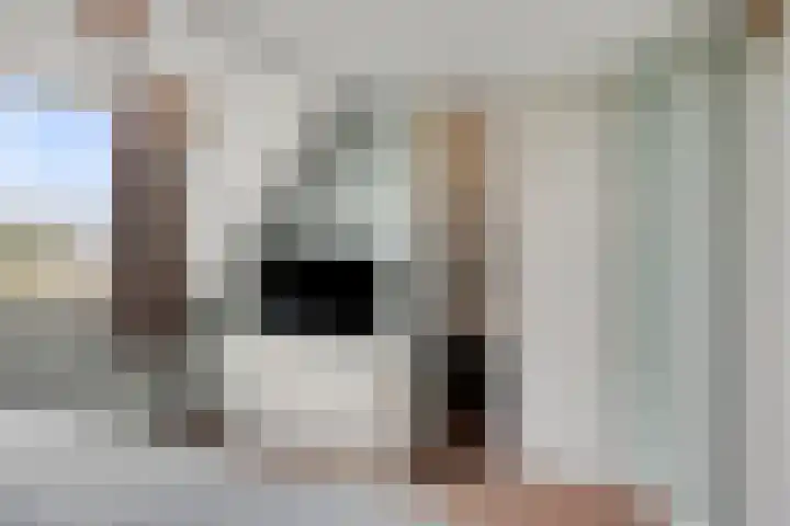 Brugdam 15 Lage Zwaluwe thumbnail 26