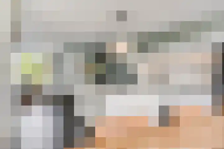Brugdam 15 Lage Zwaluwe foto 3