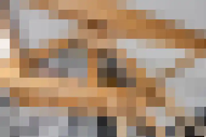 Brugdam 15 Lage Zwaluwe thumbnail 40