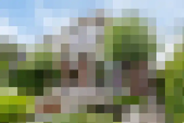 Brugdam 15 Lage Zwaluwe thumbnail 43