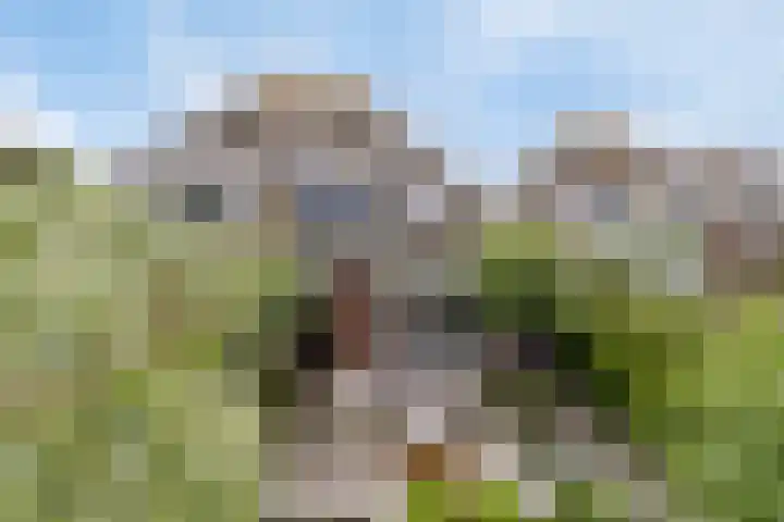Brugdam 15 Lage Zwaluwe thumbnail 44