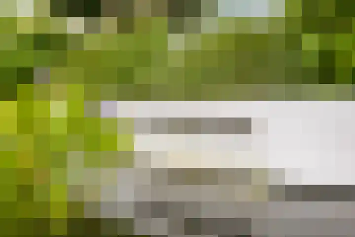 Brugdam 15 Lage Zwaluwe thumbnail 47