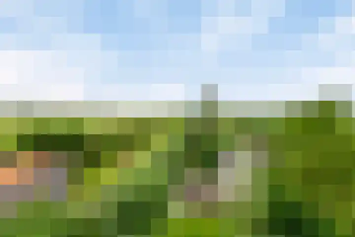 Brugdam 15 Lage Zwaluwe thumbnail 48