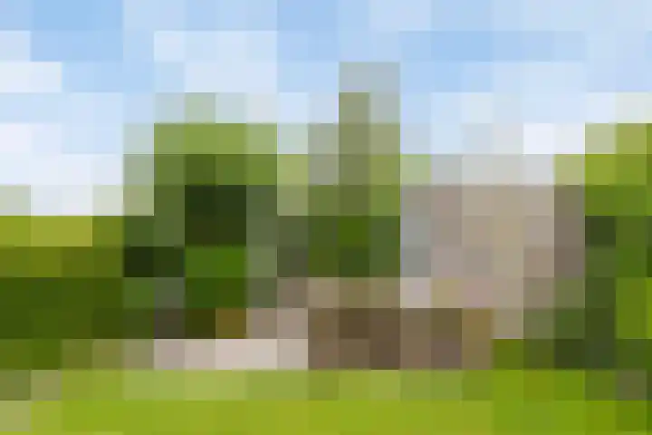 Brugdam 15 Lage Zwaluwe thumbnail 49