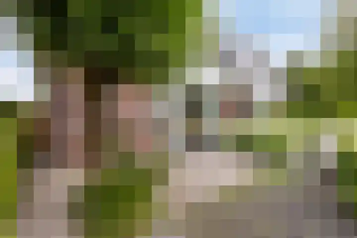 Brugdam 15 Lage Zwaluwe thumbnail 5