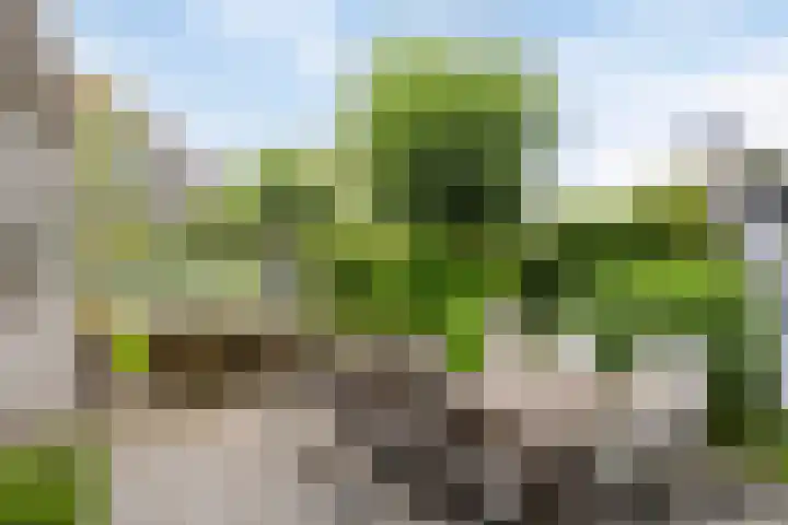 Brugdam 15 Lage Zwaluwe thumbnail 50