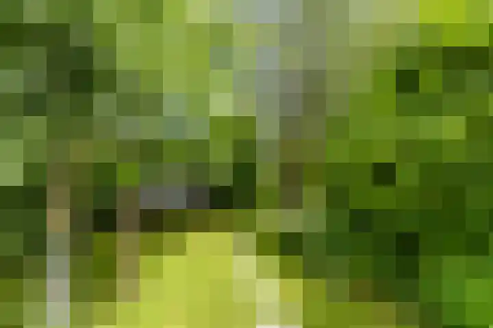 Brugdam 15 Lage Zwaluwe thumbnail 51