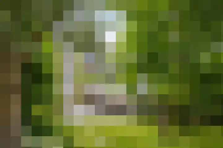 Brugdam 15 Lage Zwaluwe thumbnail 52