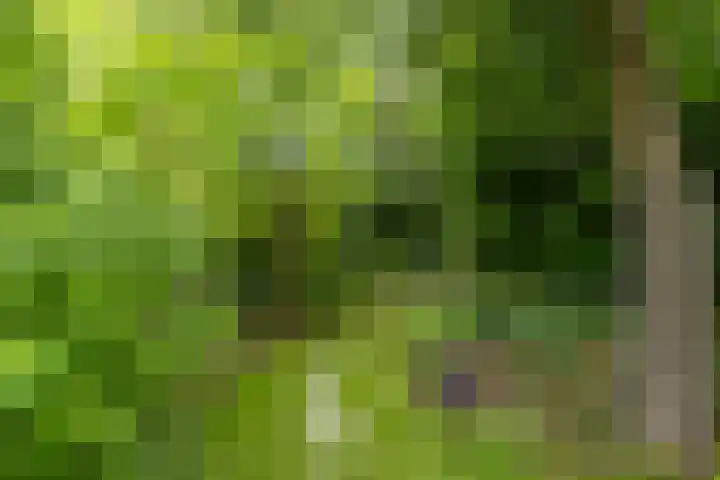 Brugdam 15 Lage Zwaluwe thumbnail 53