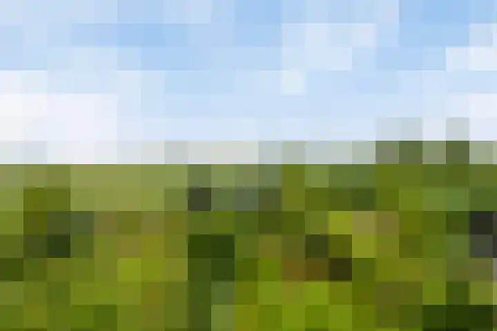 Brugdam 15 Lage Zwaluwe thumbnail 54