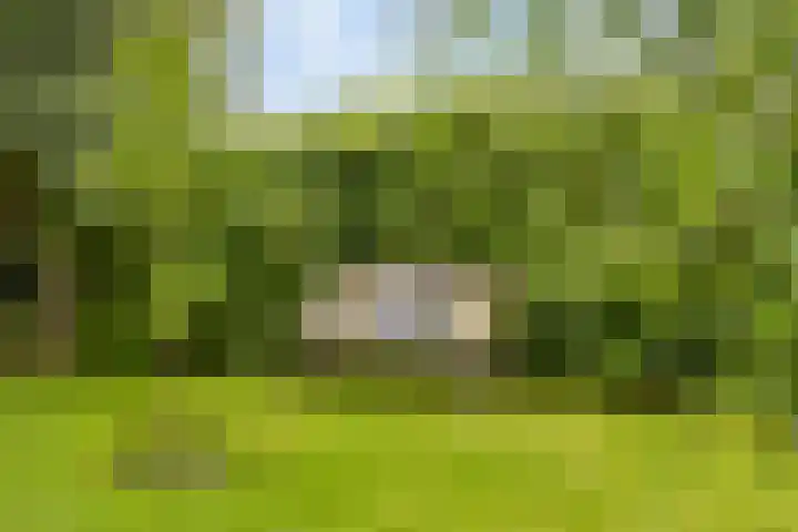 Brugdam 15 Lage Zwaluwe thumbnail 55
