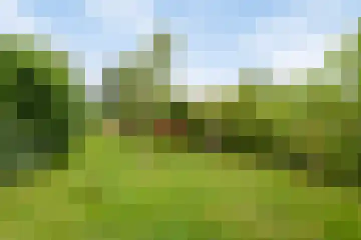 Brugdam 15 Lage Zwaluwe thumbnail 56