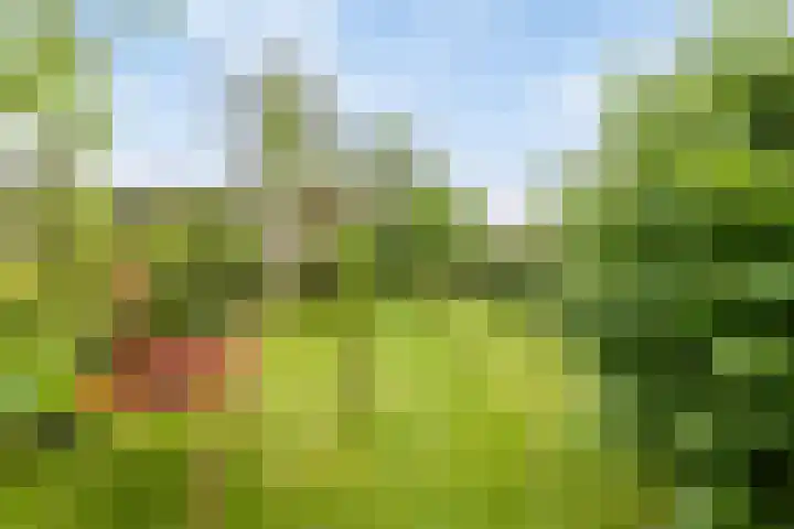 Brugdam 15 Lage Zwaluwe thumbnail 57