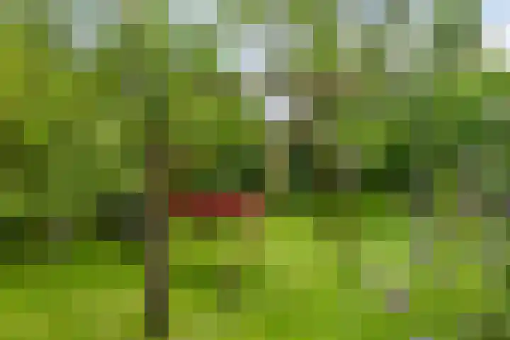 Brugdam 15 Lage Zwaluwe thumbnail 58