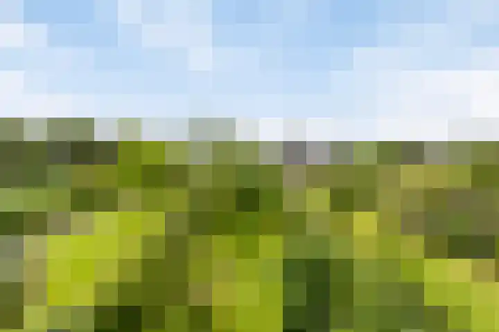 Brugdam 15 Lage Zwaluwe thumbnail 59