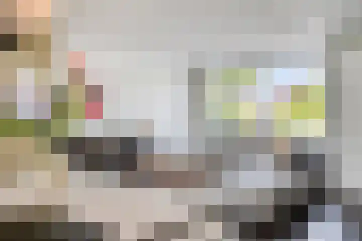 Brugdam 15 Lage Zwaluwe thumbnail 6