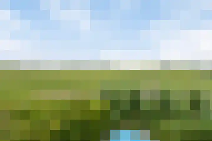 Brugdam 15 Lage Zwaluwe thumbnail 60