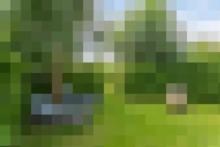Brugdam 15 Lage Zwaluwe thumbnail 62