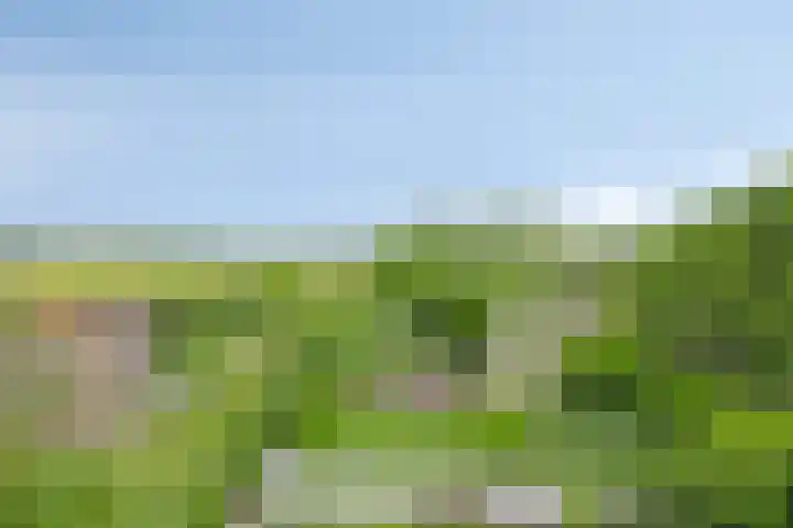 Brugdam 15 Lage Zwaluwe thumbnail 65