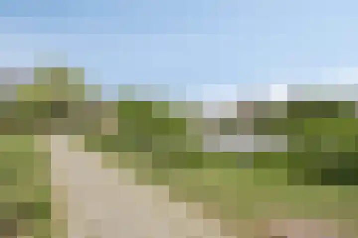 Brugdam 15 Lage Zwaluwe thumbnail 68