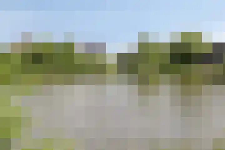 Brugdam 15 Lage Zwaluwe thumbnail 69